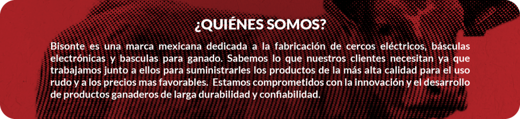 index_qs_img.0.1
